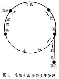 ͼ1