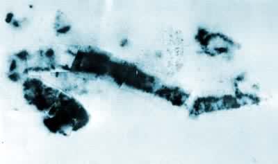 ͼ5���ڰĴ�����������ŵ˼������North Pole��������������Ⱥ�ز�35����ǰ����ʯ�з��ֵ�˿״�ṹ΢�廯ʯ