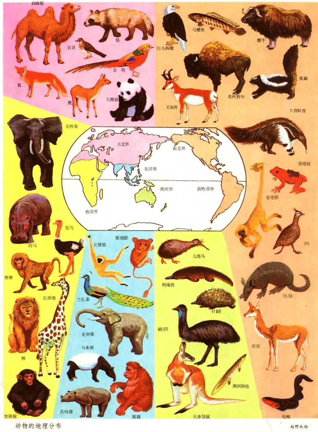 ����ĵ����ֲ�