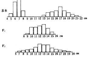 �����볤���Ŵ������ϡ������ױ������ϡ������ױ�