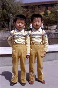 ����˫��