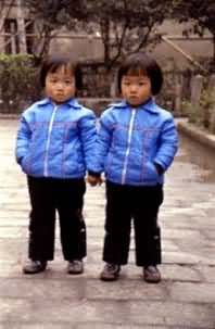 ����˫��