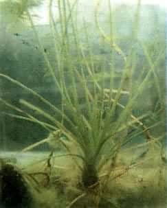 ާ�ࡪ���л�����