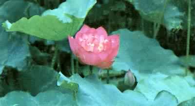 ����˯����