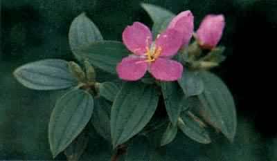 �ҽ���ҽ����