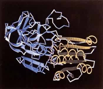 ������ø�������ṹ