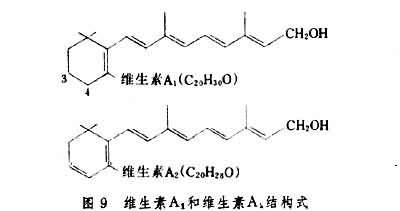ͼ9