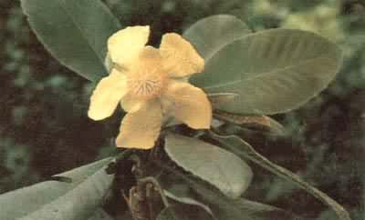 ����������������