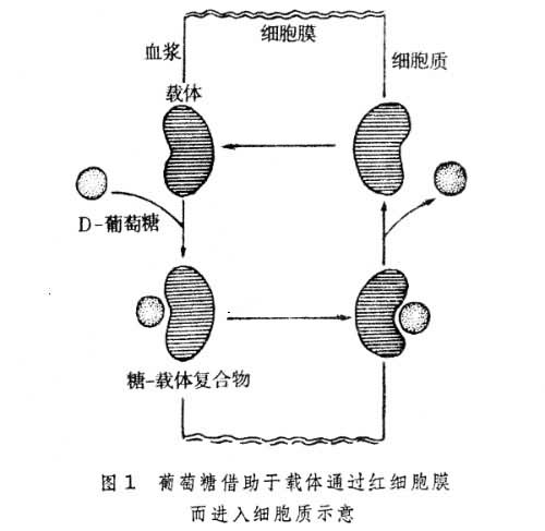 ͼ1