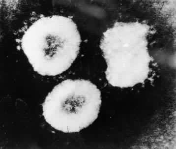 �ɾ����Ⱦϸ��