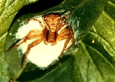 ���λ�з�룬������Ѵ���