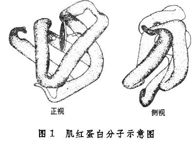 ͼ1 ���쵰�׷���ʾ��ͼ