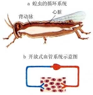 ����Ŀ���ʽѭ��ϵͳ