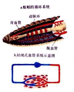 ���ڶ���ķ��ʽѭ��ϵͳ