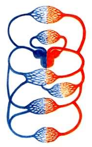 �����ѭ��ϵͳ