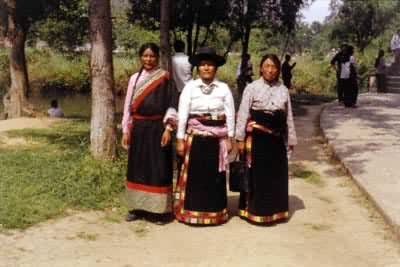 �Ŵ���̬�ԡ������������ز���