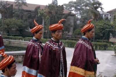 �Ŵ���̬�ԡ���������֦��������