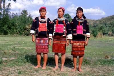 �Ŵ���̬�ԡ����㶫����������