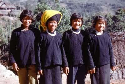 �Ŵ���̬�ԡ�����������������