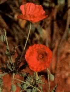 �����ˣ���ڿ�