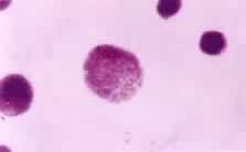 ��˿���ѣ�����