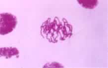 ��˿���ѣ�ǰ��