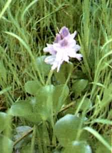 ����������û���