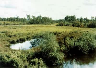 ��Ӫ������