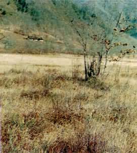 ������ũ��ƶӪ��������ݸ��̿޺����