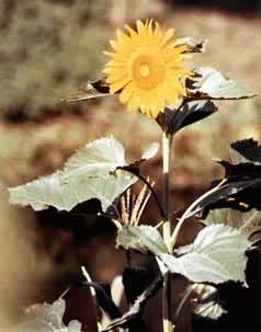 ���տ�������˶�