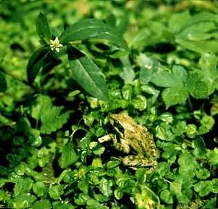 �й�����