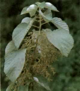 ���飬ݡ���