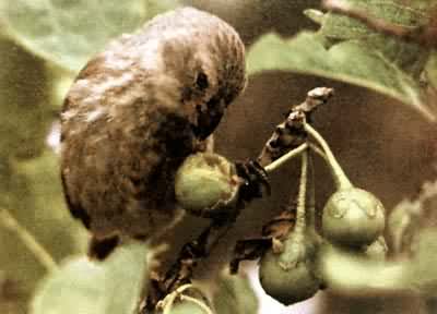 ����ĵ�ȸ��������ȸ