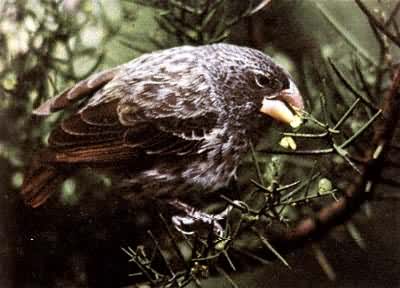 ����ĵ�ȸ�������ȸ