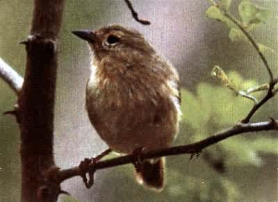 ����ĵ�ȸ����ݺȸ