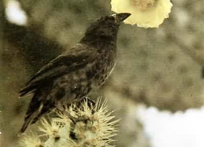 ����ĵ�ȸ���������Ƶ�ȸ