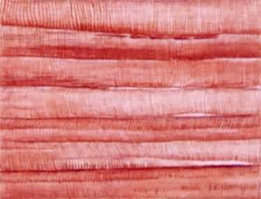 ������֯����������