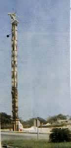 ���ص����׶������õ�������