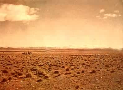 ���������Ǹ�ԭ