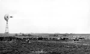 Χ������