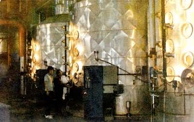 ����͢�����ҵ������ҵե�ǳ��ھ�