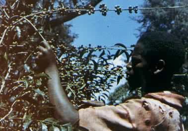 ����������ũ���ڿ���ʡ�����ֲ԰ժ���ȶ�