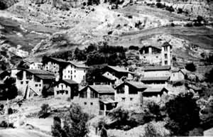 ����������һƳ