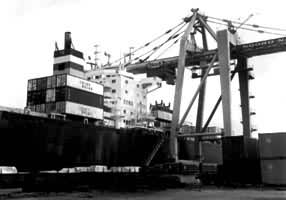 �������ոۼ�װ����ͷ