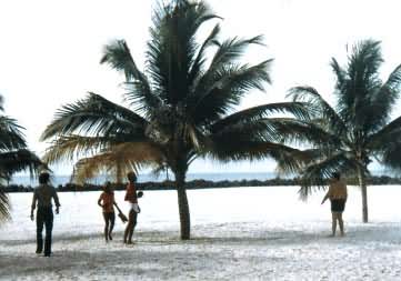 �ͰͶ�˹�������