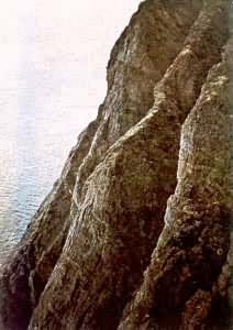 Ų������