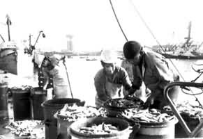 �����г�������