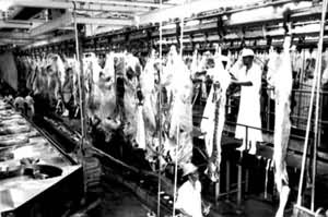 �����ߵ����׳�һ��