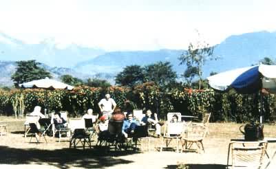 �Ჴ��������������