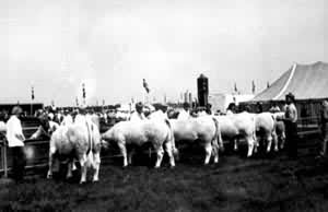 ����ũҵ���׻�